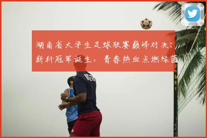 湖南省大学生足球联赛巅峰对决：新科冠军诞生，青春热血点燃绿茵场