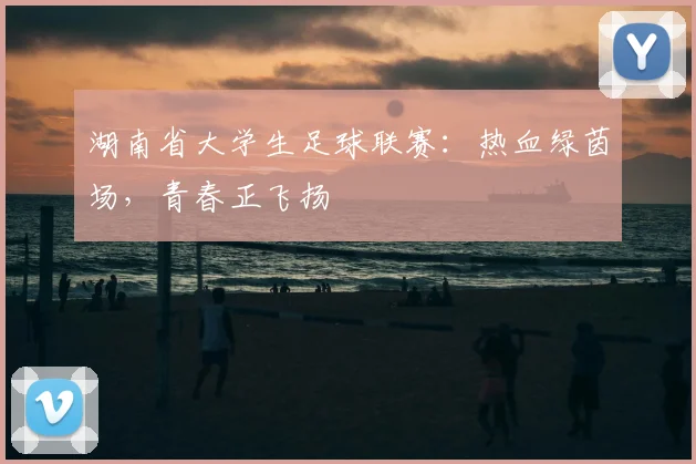 湖南省大学生足球联赛：热血绿茵场，青春正飞扬