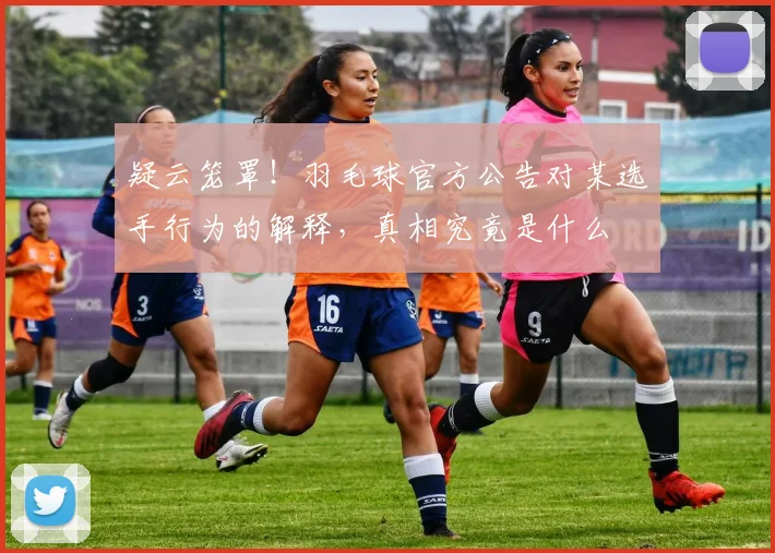 疑云笼罩！羽毛球官方公告对某选手行为的解释，真相究竟是什么