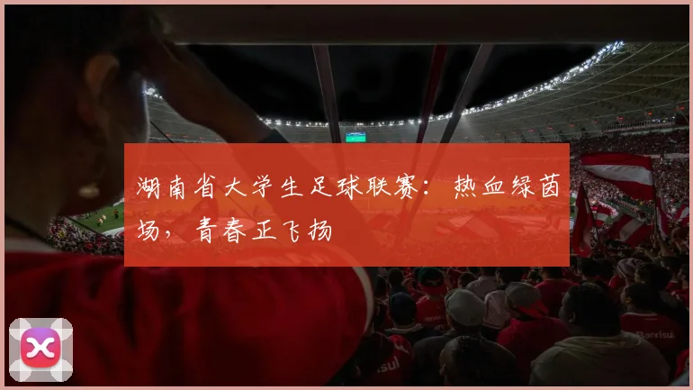 湖南省大学生足球联赛：热血绿茵场，青春正飞扬